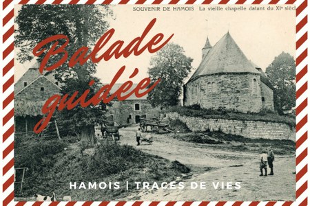 Illustration de l'actualité - cliquer pour agrandir