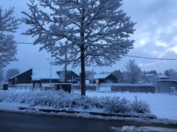 Il a bien neigé sur notre école - 24 janvier
